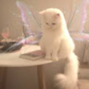 Meet your Posher, Myy